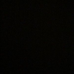 Meet your Posher, Aisleigh